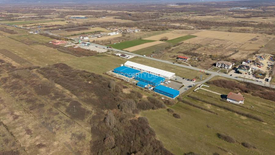 Teren extravilan de 7.000 mp lângă Păltiniș - 16