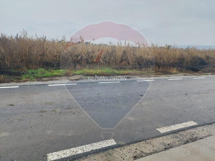 Teren intravilan de vanzare – Nicolae Balcescu, jud. Bacau - 4