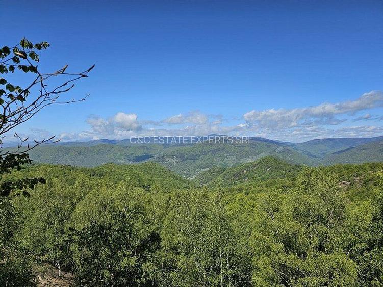 Pensiune in jud. Buzau, loc Ivanetu| Constructie lemn|Pozitionare impresionanta - 4