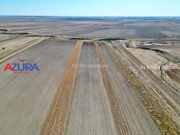 Teren agricol, 5HA, comasat, drum acces, Cateasca - 2