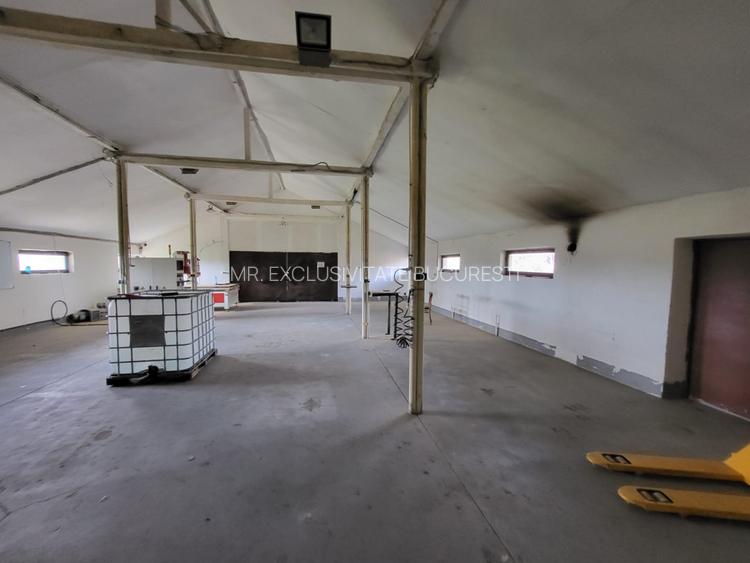 HALĂ INDUSTRIALĂ DE VÂNZARE – DB, CĂTUNU (TVA inclus) - 3
