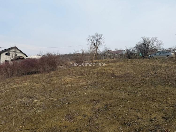Teren cu priveliste superba, Vladiceni Iasi - 3