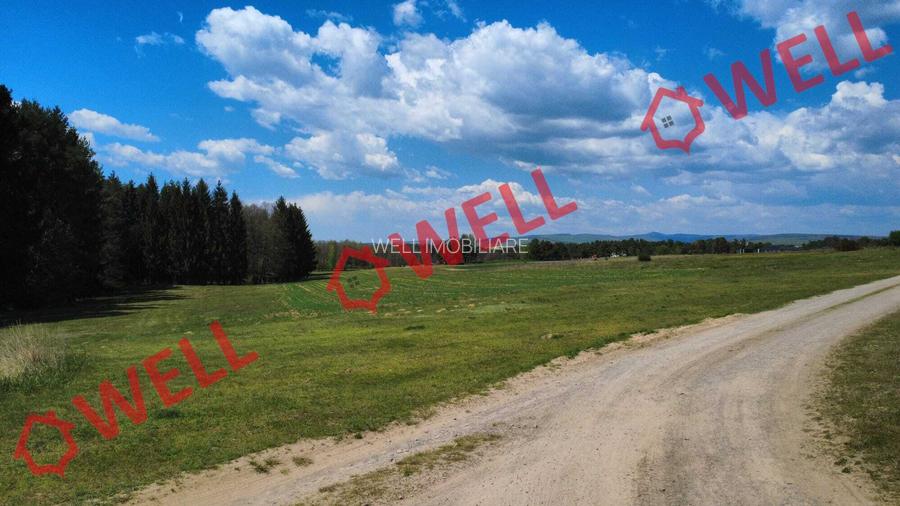 De vânzare teren extravilan în Reci! - 8