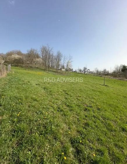 TEREN DE VANZARE -SULTANU,VISINESTI - 6