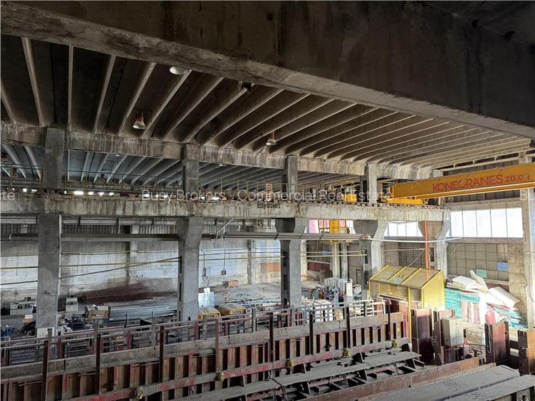 Spatiu Industrial - 4000 mp - Productie - Depozitare - Distributie - Sibiu - 3