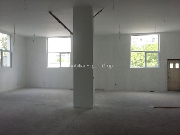 Theodor Pallady  300 mp - 4