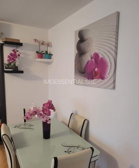 2 camere semidecomandat Drumul Taberei metrou Parc Moghioros - 11