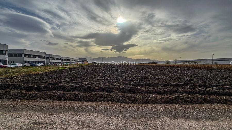 Teren industrial, intravilan, cu utilitati, Stupini, 11.600 mp - 6