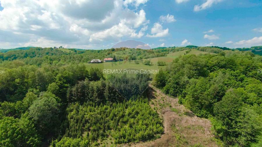 De vânzare casă cu teren și pădure 55706 mp - Șinteu, Valea Târnei - 16