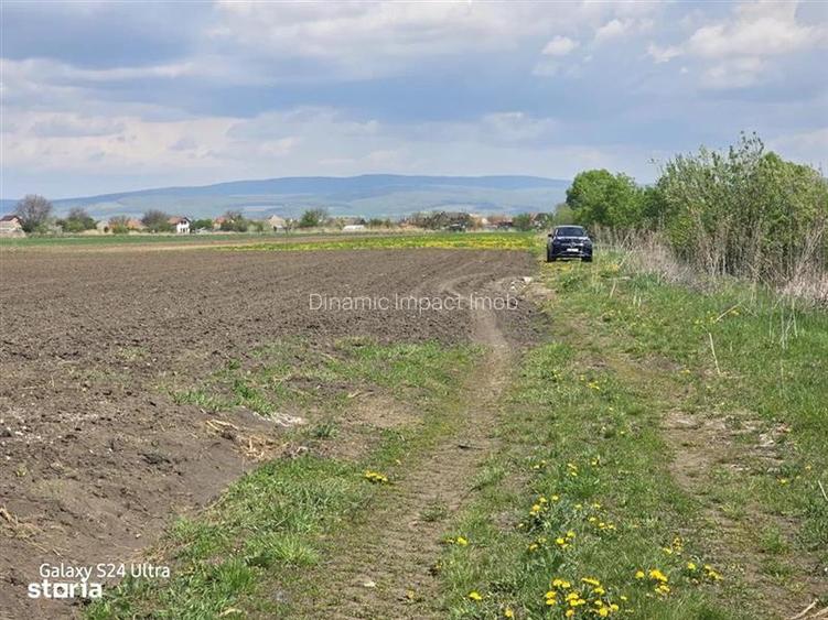 Oportunitate de investiție cu Exclusivitate! BOD, teren agricol! - 9