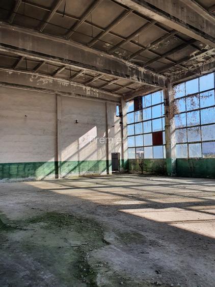 Hala 300 mp, 1,50 e/mp - 3