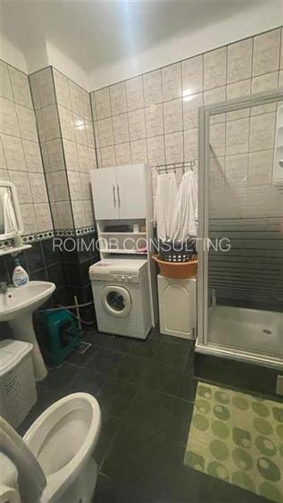 Ferdinand, cartier rezidential, vila burgheza cu magnolie - 4