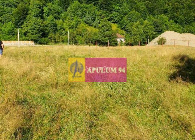 Teren Județul Vâlcea - Brezoi, Valea lui Stan - 16