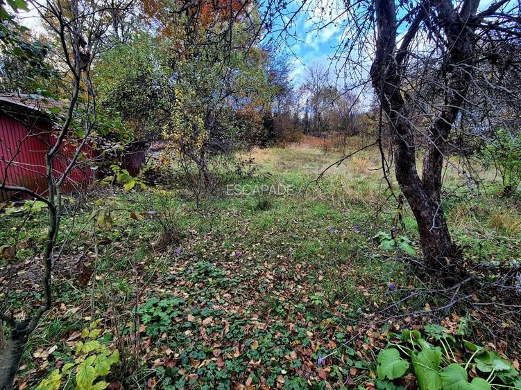 Casa de vacanta Timisu de Sus/Brasov/Oportunitate investitie - 22