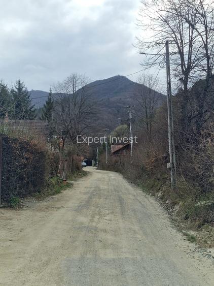 Teren intravilan 584 mp in Tocile / comuna Sadu / jud. Sibiu - 6