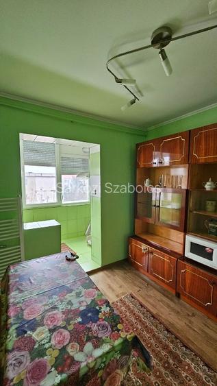 Apartament in bloc reabilitat, 2 camere, et 4, Zona 300, Micalaca,Arad - 10
