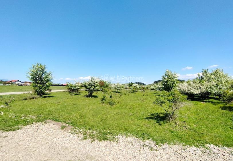 Teren Intravilan - 6