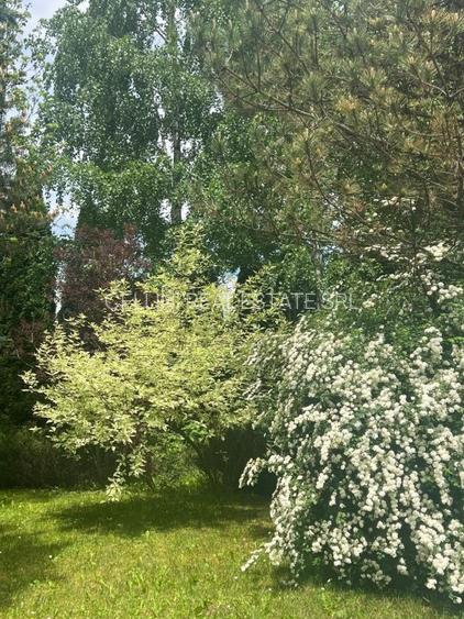 Vila de vis cu parc privat  — Panoramă Unică Spre Crucea Caraiman, - 25