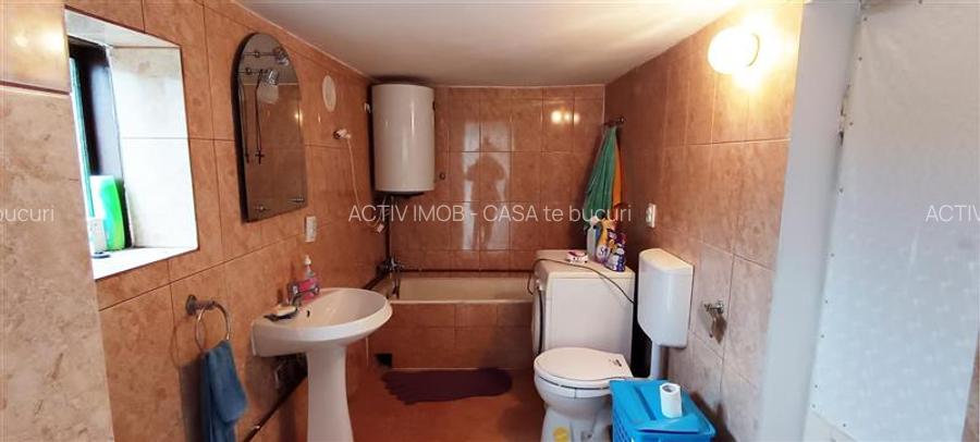 Casa individuala de vanzare in Berzasca, jud. Caras-Severin - 28