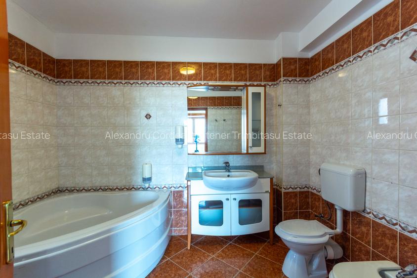 Aviatiei | Smaranda Braescu | Vila reprezentativa de inchiriat - 41