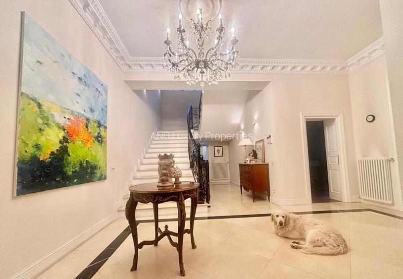 Vila ideala Birouri sau  Resedinta Ambasador/Clinica Lux zona Capitale - 9