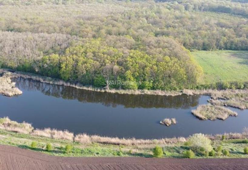 Vanzare Teren Central, Moara Vlasiei - 2