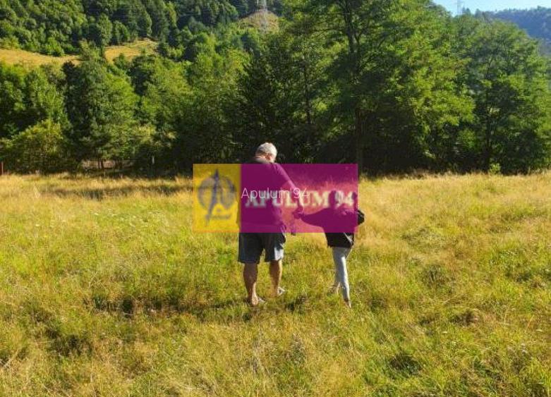 Teren Județul Vâlcea - Brezoi, Valea lui Stan - 37