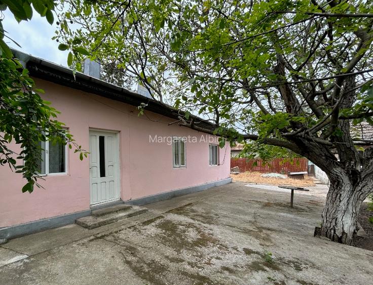 casa batraneasca cu teren mare - 3