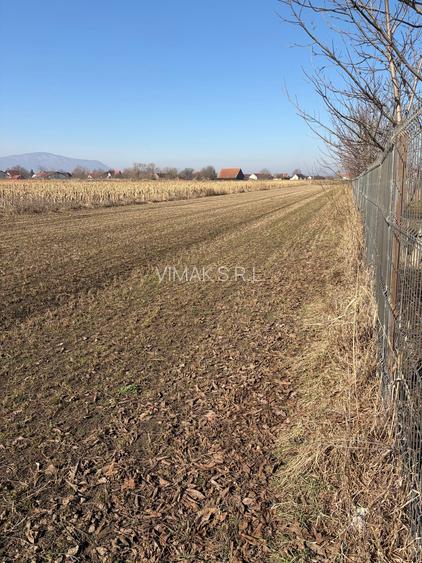 S.C Vimak Imobiliare vinde teren intravilan Stupini - 4