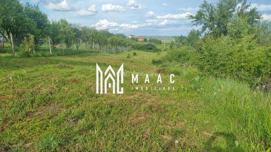 Teren intravilan de vânzare Daia Nouă | 1000 mp | Ideal pentru construcție - 6