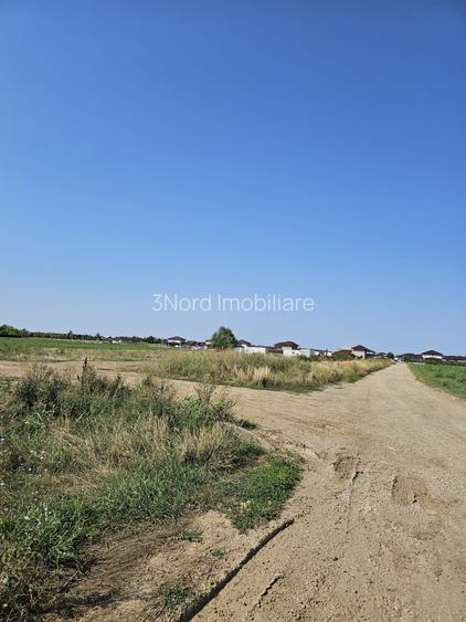 Teren intravilan, 12.200mp, Balotesti, oportunitate de investitie - 6