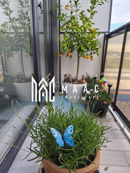 Apartament 3 Camere | Decomandat | 2 Balcoane | Doamna Stanca - 5