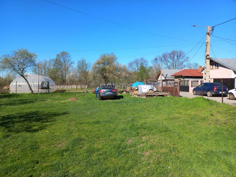 Teren intravilan 2927 mp - com. Domnesti sat Teghes - 3