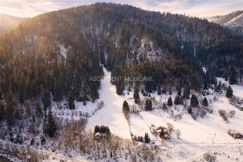 FILM!Teren 7.800mp,fosta partie de schi,investitie turistica/agrement,Lunca Brad - 4
