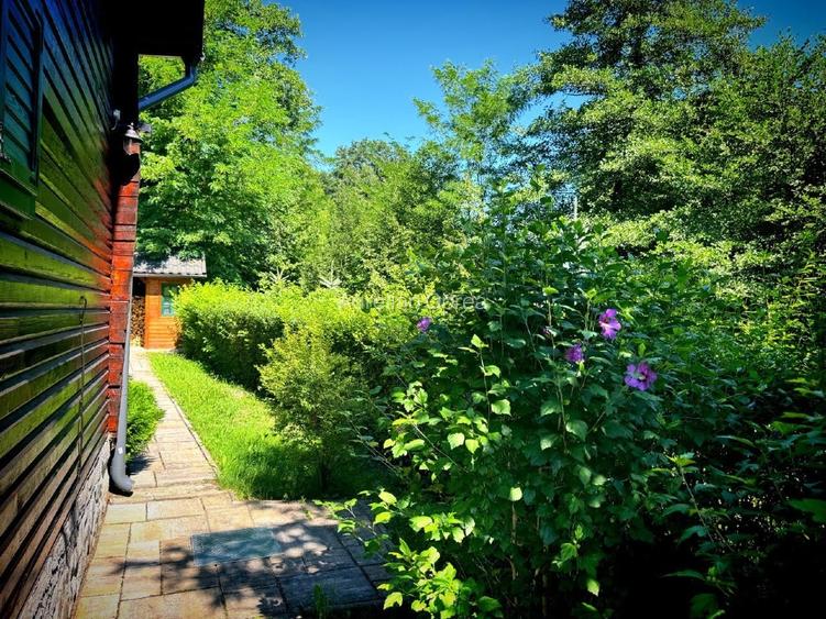 Casă de vacanță tip Chalet pe Valea Muresului  - 4