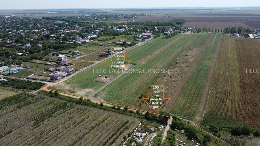 Ferma Legume Petrachioaia Teren 7.2 HA - 3