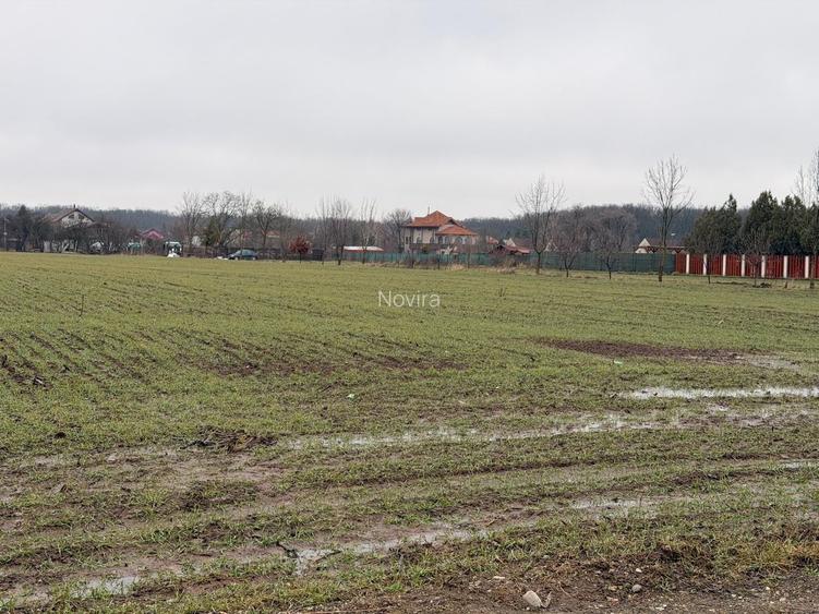 Teren Snagov - Cioflinceni | Drum amenajat | Aproape de Padure si Lac - 2