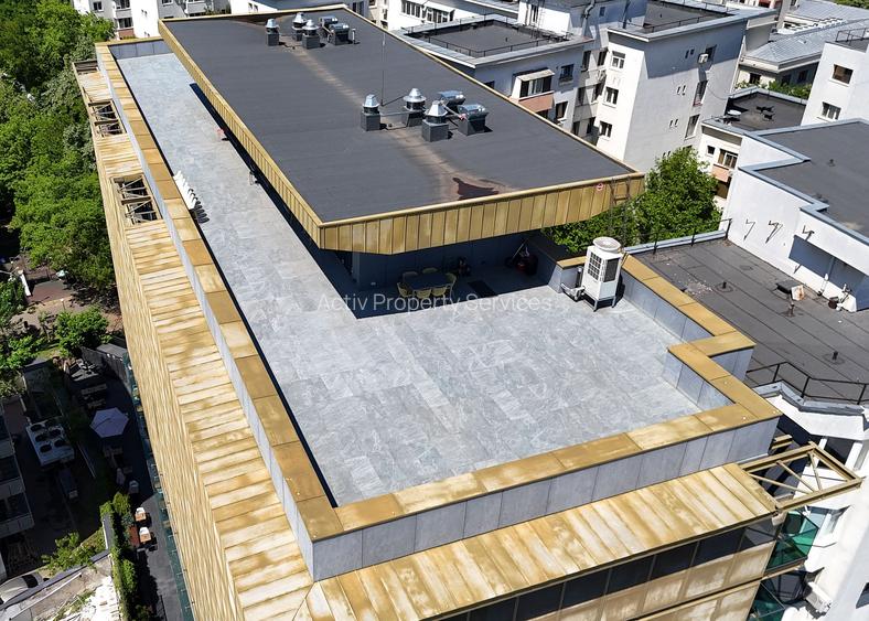 Romana, Mendeleev 5 - comision 0%, reprezentam proprietarul! - 7