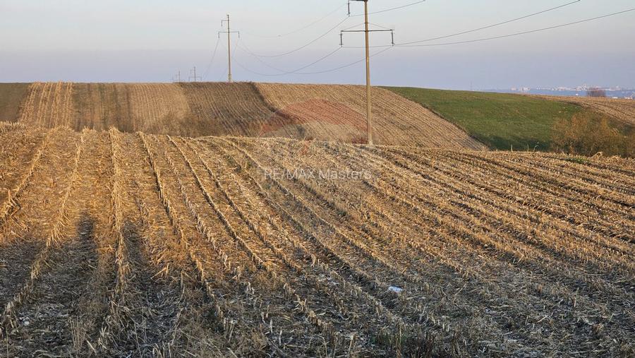 Teren Extravilan 2500 mp-Stroiesti, Suceava - 9