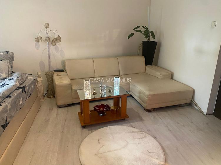 Casa individuala zona Piata Cluj - 4