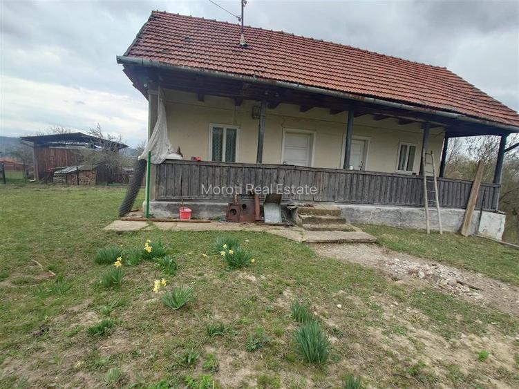 10 000 mp teren intravilan cu priveliste - 19