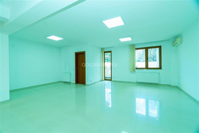 Piata Victoriei | Parter si etaj in vila | Garaj | 160mp - 7