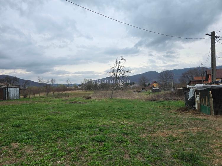 Teren si casa batraneasca Calimanesti - 6