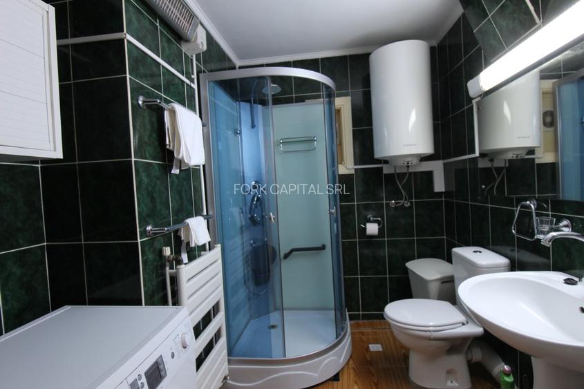 Ciolpani casa singur curte cu vegetatie superba. 37 minute de Bucuresti - 17