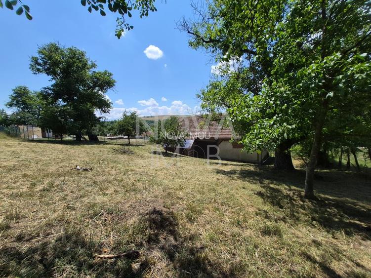Casa individuala cu teren generos – 8.356 mp – Tichindeal, jud. Sibiu - 42