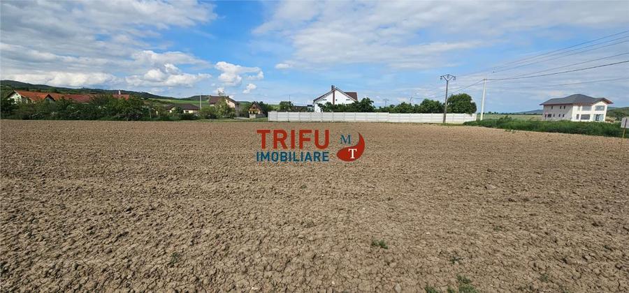 Teren de vanzare Ighiu !