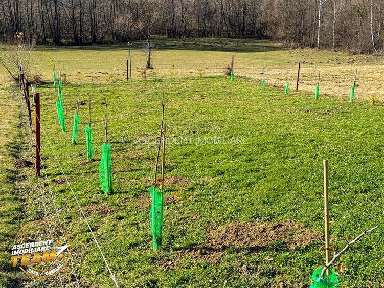 FILM! Teren extravilan 682 mp + rulota, Floroaia, Intorsura Buzaului - 4