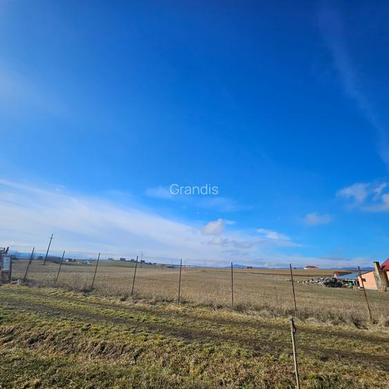 Teren intravilan - Halchiu, construire locuinte individuale - 2