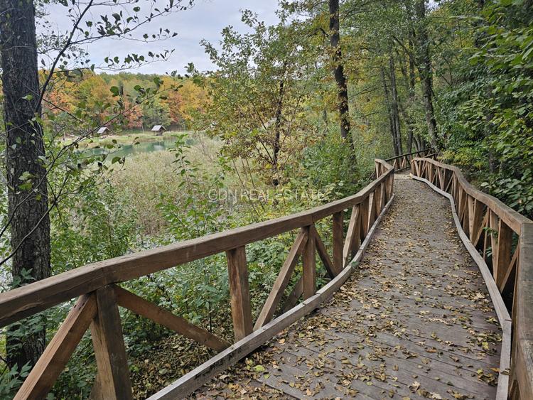 Teren intravilan 2000 mp zona Lac Stei - 2