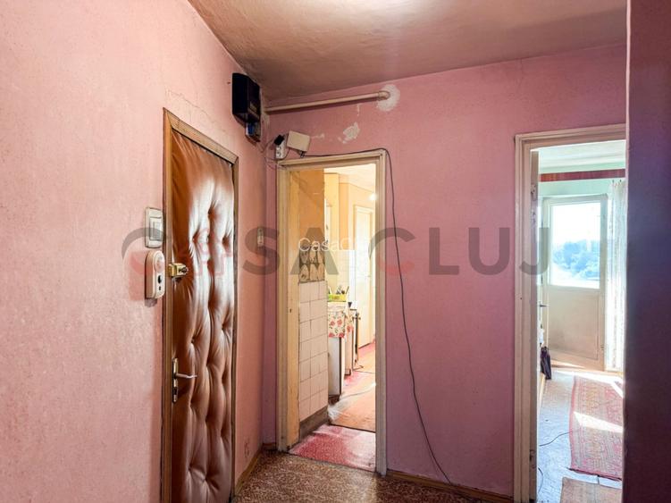 Apartament 2 camere cu vedere spre Somes, Grigorescu - 7